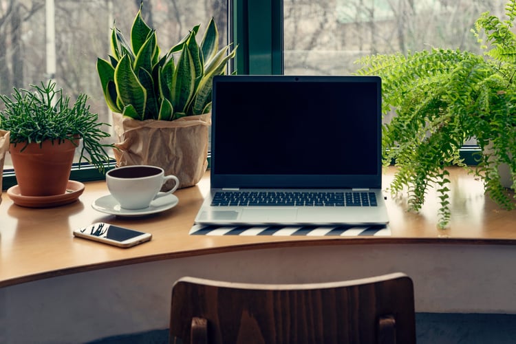 A laptop on a compliance expert's desk with a phone and plant